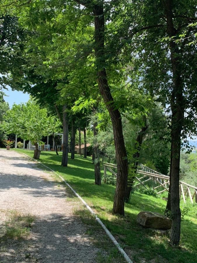 Il Lauro Bed & Breakfast San Costanzo Exterior photo
